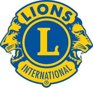 layout_set_logo